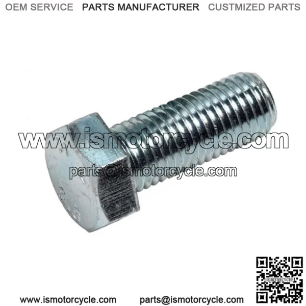 OEM Screw M10 X 25