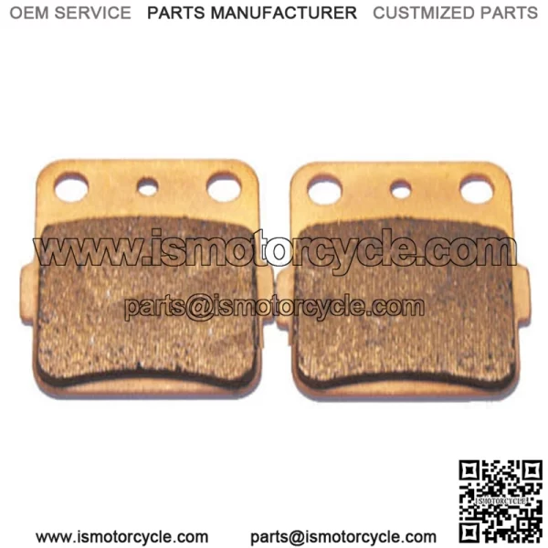 2011 Yamaha YFM125R Raptor Sintered Copper Rear Brake Pads! YFM 125R Brakes ATV