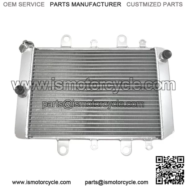 Radiator Yamaha Grizzly 550 700 Kodiak 700 2012-2020 B16-E2460-00-00