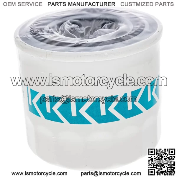 Polaris 3070549 Oil Filter Cartridge OEM for 2019-2021 Pro XD 2000D 4000D Crew