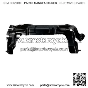 kawasaki 2021 2022 2023 2024 ZX10R ZX10RR ZX10 NEW original radiator panel