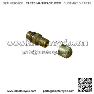 Honda 1982-2000 Goldwing GL CR Air Valve 51456-469-013 New