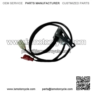Rear Brake Switch Set Goldwing GL1800 & F6B 06-17 OEM Honda