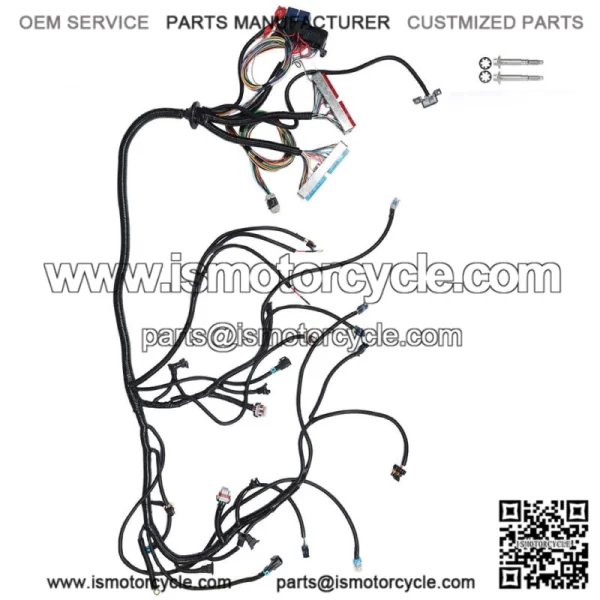 Stand Alone Harness 4L60E Drive by Cable DBC For 1997-06 LS1 LS SWAP 4.8 5.3 6.0 - Image 3