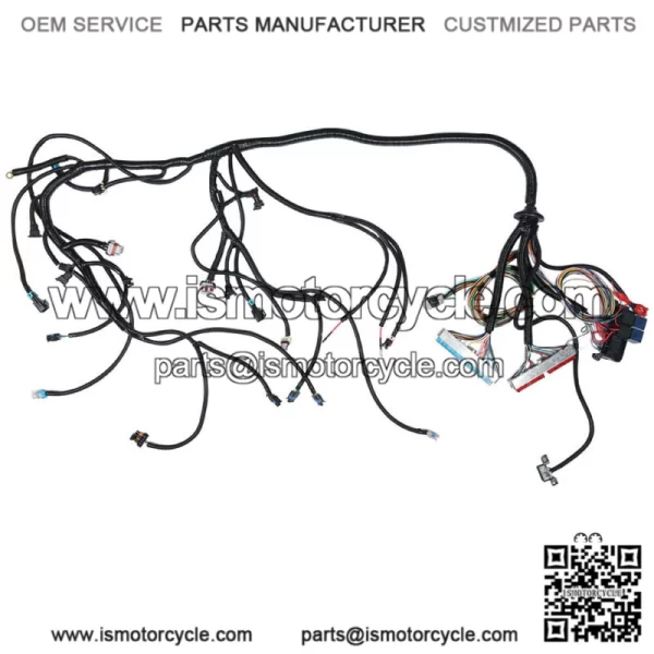 Stand Alone Harness 4L60E Drive by Cable DBC For 1997-06 LS1 LS SWAP 4.8 5.3 6.0 - Image 4