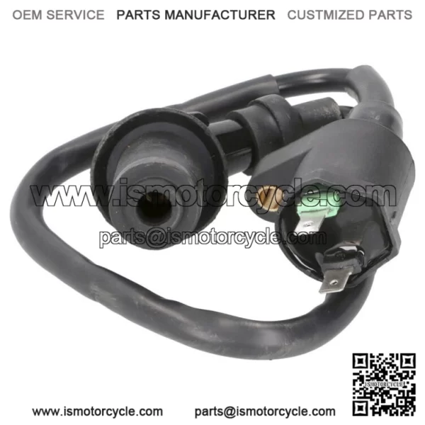 Peugeot Speedfight Vivacity Trekker 100  2 Pin HT Lead & Ignition Coil
