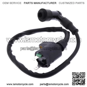 Ignition Coil fits Peugeot Vivacity 100 2 2004-2007