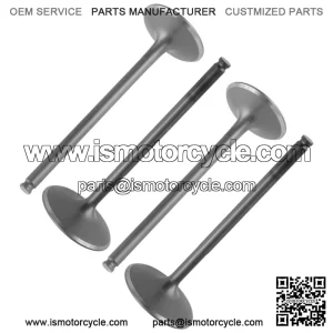 2x Intake & Exhaust Valve for Polaris Ranger 570 15-16 / Sportsman Forest 570 14 For: Polaris Sportsman 570